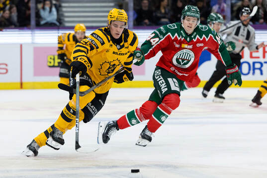 Skellefteås Pontus Johansson och Frölundas Noah Dower
