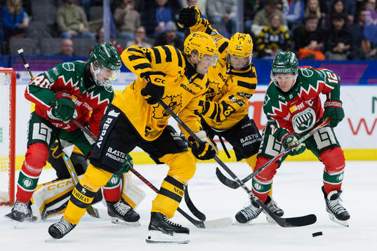 Skellefteås Måns Forsfjäll