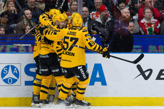 Skellefteås Andreas Johnson jublar