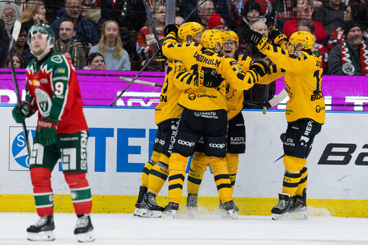 Skellefteås Andreas Johnson jublar och Frölundas Linus