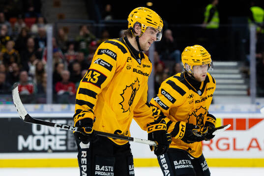 Skellefteås Max Krogdahl och Jonathan Davidsson