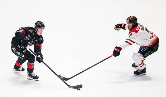 Bläddra bland fler bilder av Ishockey, SHL, Malmö Redhawks - Örebro