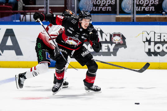 Malmö Redhawks William Von Barnekow