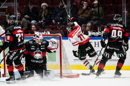Malmö Redhawks målvakt Marek Langhamer deppar