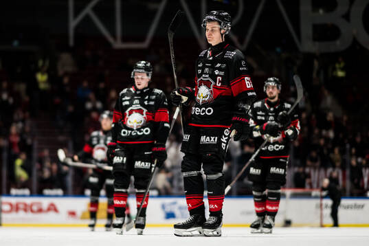 Malmö Redhawks Fredrik Händemark deppar