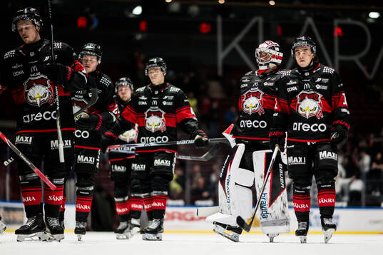 Malmö Redhawks målvakt Marek Langhamer deppar