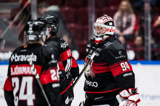 Malmö Redhawks målvakt Marek Langhamer deppar