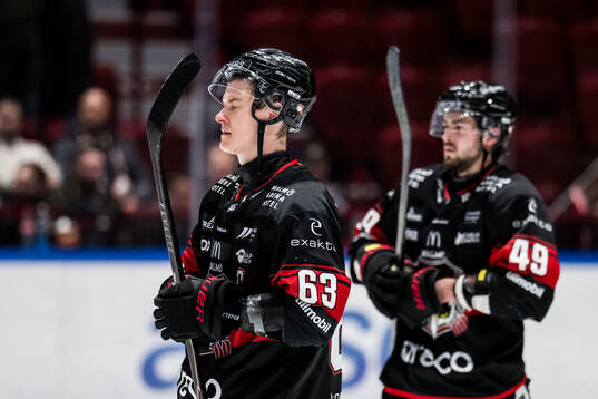 Malmö Redhawks Fredrik Händemark deppar
