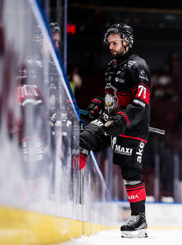 Malmö Redhawks Robin Hanzl deppar