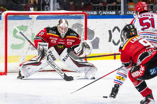 Luleås målvakt Matteus Ward