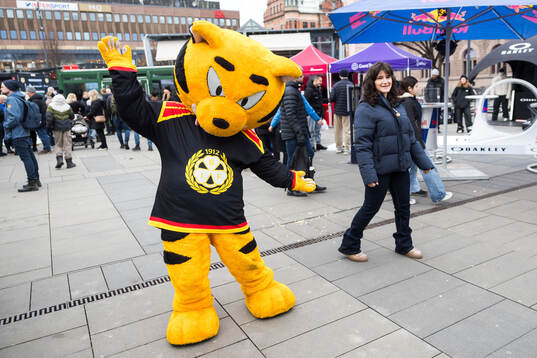 Brynäs maskot
