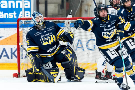 HV71s målvakt Stephanie Neatby