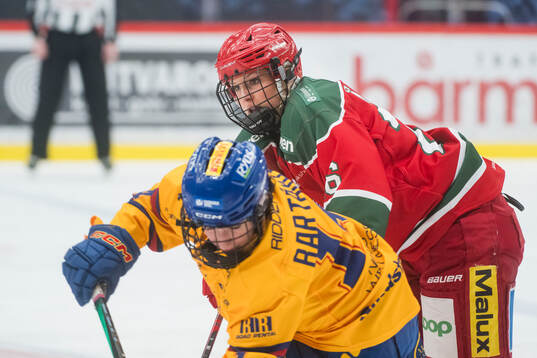 Modos Maja Åkerlund
