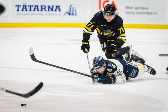 Södertäljes Sebastian Dyk och AIKs John Dahlström