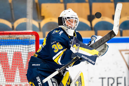 HV71s målvakt Amanda Johansson