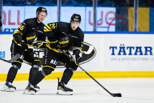 AIKs Viggo Gustafsson och Daniel Ljungman