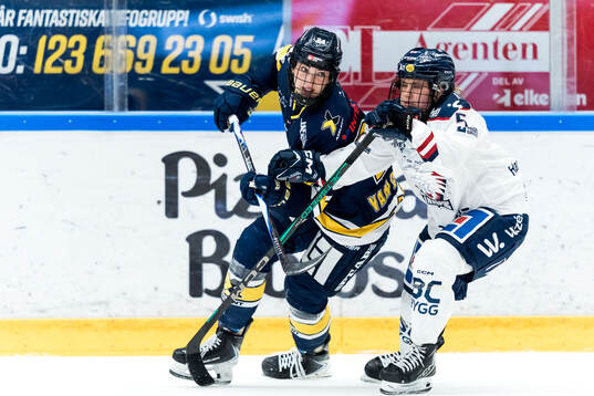Bläddra bland fler bilder av Ishockey, SDHL, HV71 - Linköping