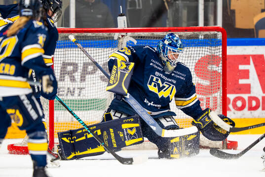 HV71s målvakt Stephanie Neatby