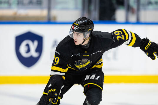 AIKs Daniel Ljungman