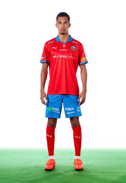 Helsingborgs Harol Romana