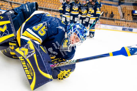 HV71s målvakt Stephanie Neatby jublar