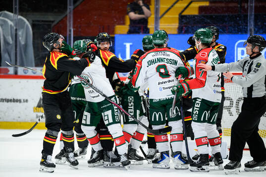 Brynäs och Frölundas spelare i gruff