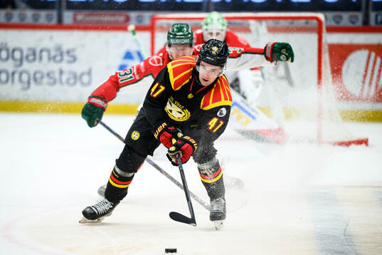Brynäs Lucas Pettersson