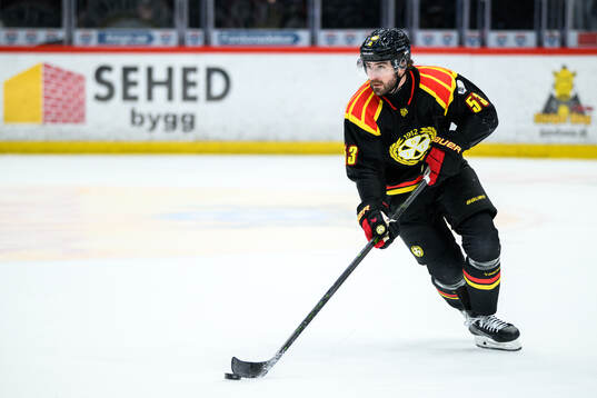 Brynäs Luke Witkowski