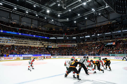 Monitor ERP Arena