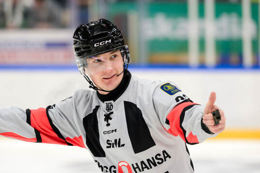 Domare Alexander Österberg