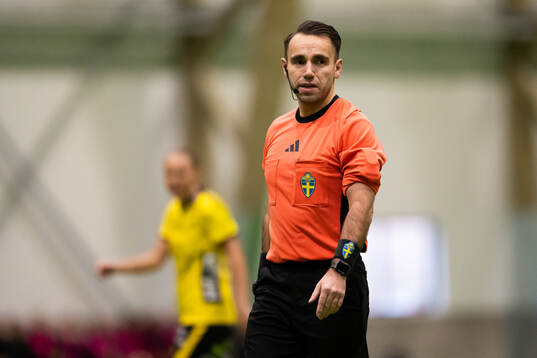 Domare Besnik Bajrami
