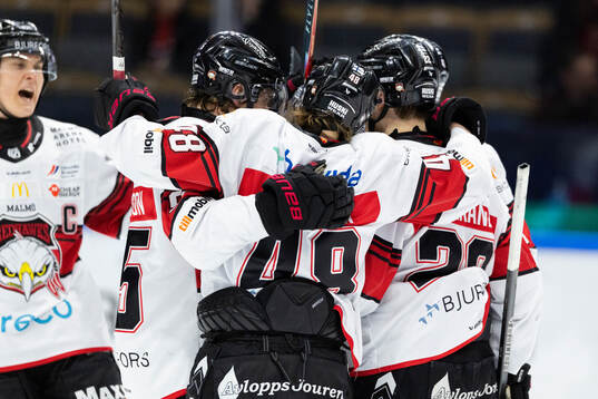 Malmö Redhawks spelare jublar