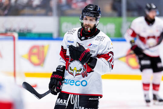 Malmö Redhawks Robin Hanzl deppar