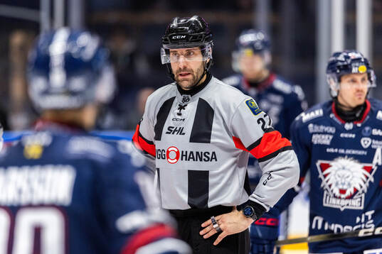 Domare Mikael Sjöqvist