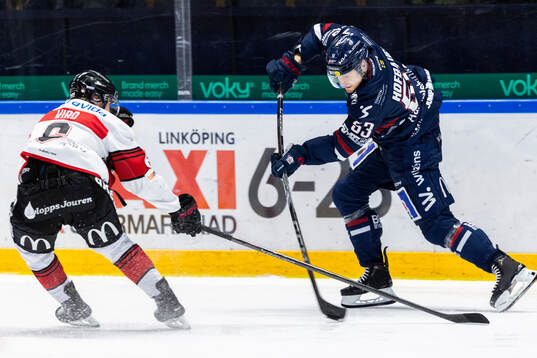 Malmö Redhawks Eemil Viro och Linköpings Adam Hofbauer