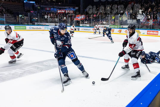 Linköpings Robin Kovacs och Malmö Redhawks Robin Hanzl