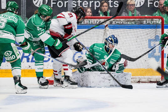 Rögles målvakt Viktorie Svejdova