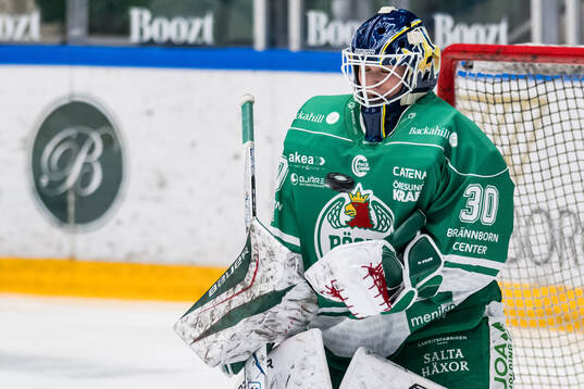 Rögles målvakt Viktorie Svejdova