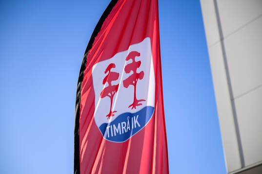 Timrålogga på en flagga