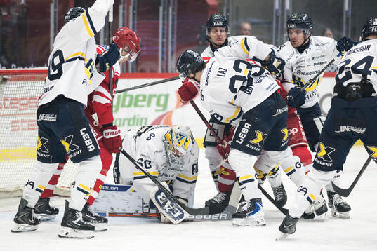 HV71s William Ignberg Nilsson och målvakt Felix Sandström