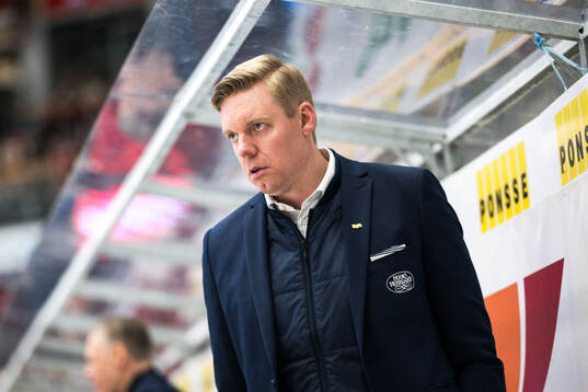 HV71s tränare Anton Blomqvist