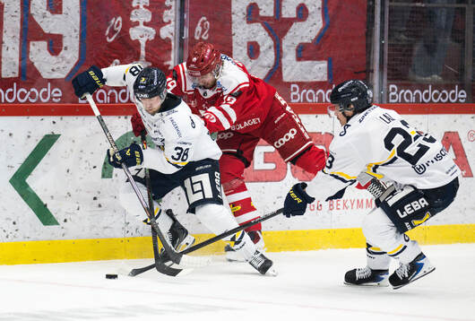 HV71s Olle Alsing och Timrås Marcus Westfält