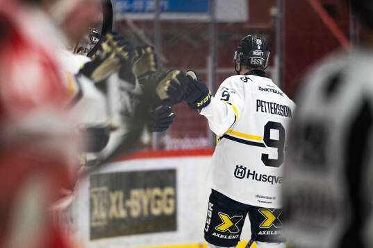 HV71s Hugo Pettersson jublar