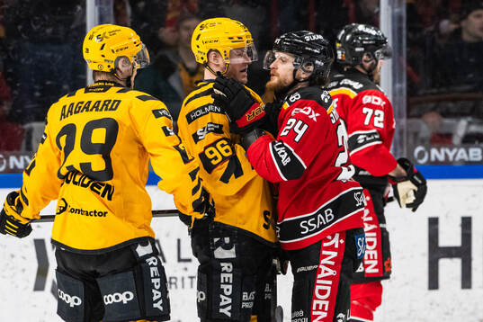 Skellefteås Rickard Hugg och Luleås Brendan Shinnimin