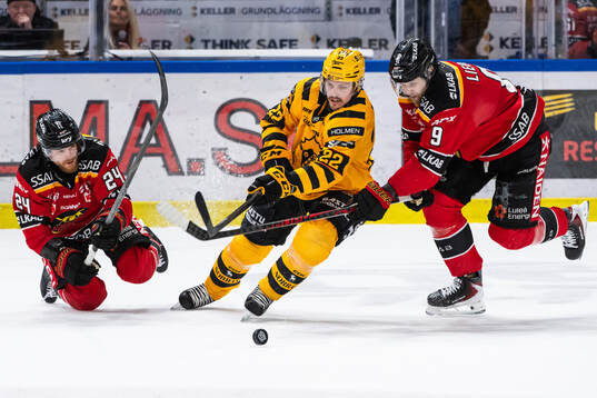 Luleås Brendan Shinnimin, Skellefteås Jonathan Johnson