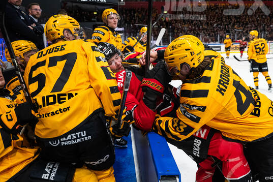 Luleås Markus Nurmi och Skellefteås Max Krogdahl