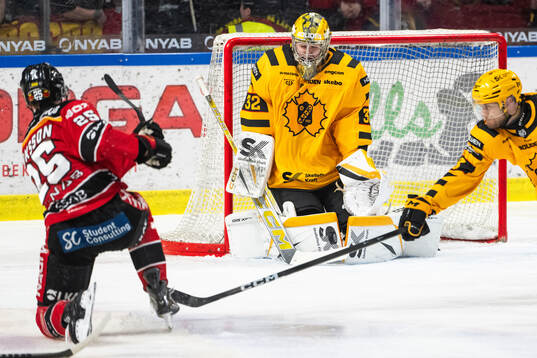 Skellefteås målvakt Linus Söderström