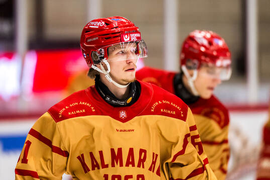 Kalmars Elias Vilen