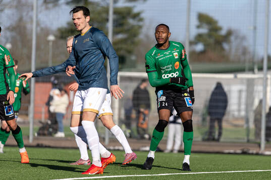 Varbergs Shanyder Borgelin