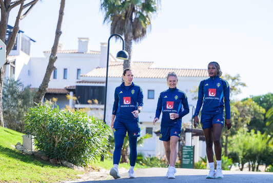Goalkeeper Jennifer Falk, Rebecka Blomqvist and Evelyn Ijeh
